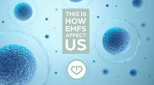 Looking For The Truth About How Man-Made EMF Radiation can Affect You? Voltage Gated Calcium Channels Are The Key