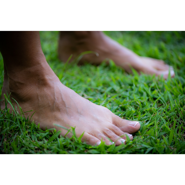 Grounding, Earthing, and the Benefits of Touching the Earth - The Right Way To Ground