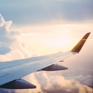 EMF Goes Sky High: Travel Tips to Decrease Radiation Plus Airport TSA Pat Down Demo