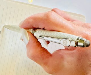 Luxury Stylus & Pen Combo
