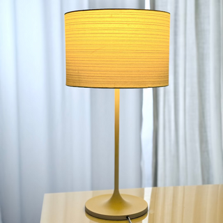Flicker Free Light For Your Day