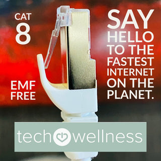 No EMF Fast Ethernet internet cable