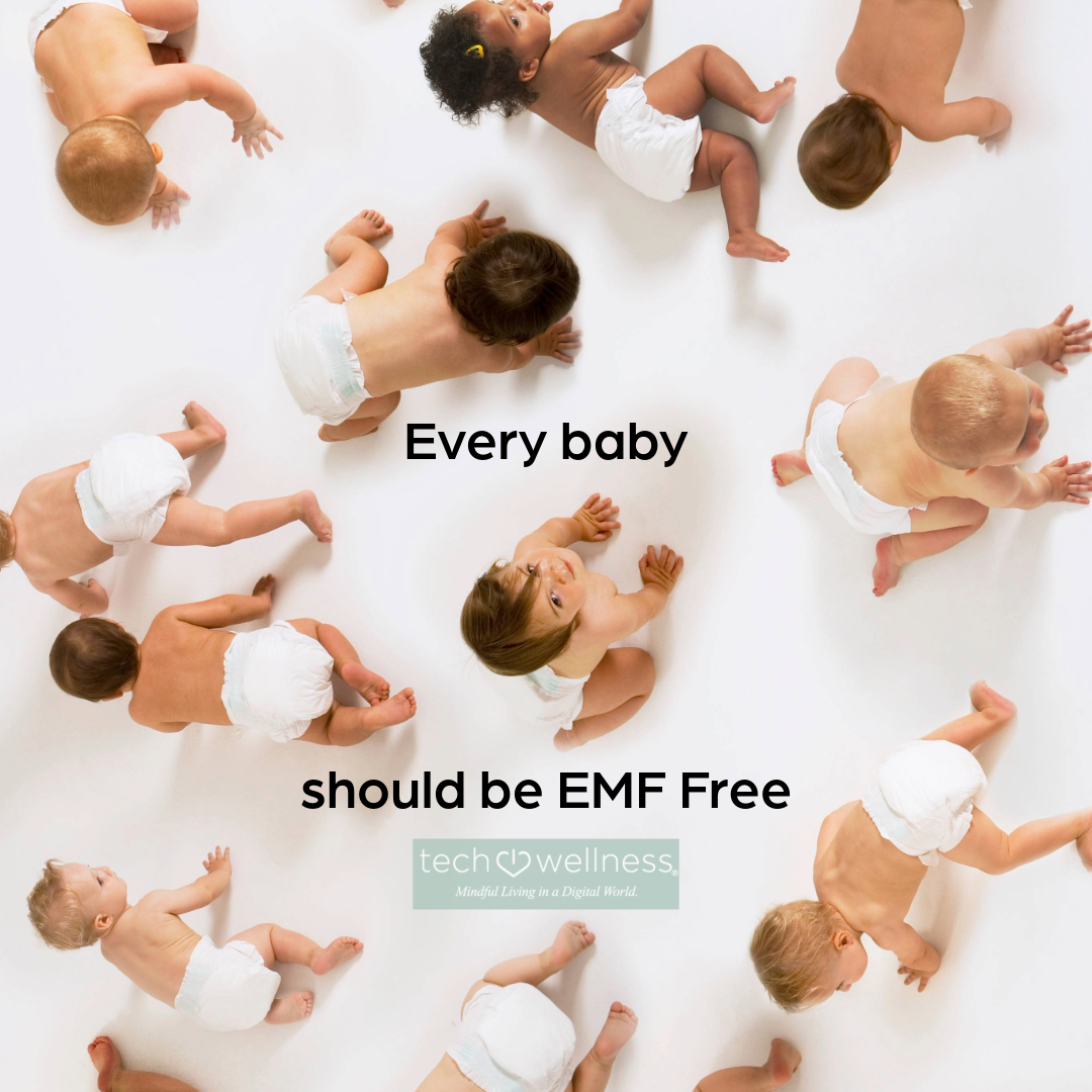 The Tech Wellness Wired Baby Monitor System-It's EMF FREE