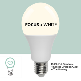 3-In-One Bulb, Full Spectrum White, Amber and Red Day to Night, the Perfect Circadian Light
