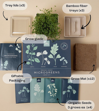 WiFi’s Effect on Plants Science Fair Kit