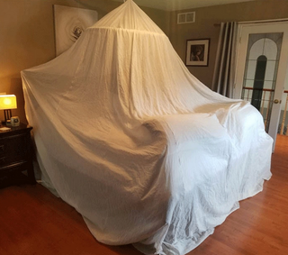 The EMF Protection Shielding Bed Canopy Tent