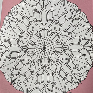 Brain Booster Coloring Book and Colored Pencil Pack. A Great Gift for The Woman Who Has Everything! Tech Wellness 