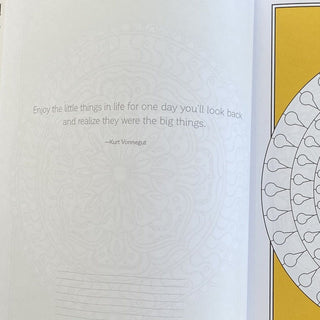 Brain Booster Coloring Book and Colored Pencil Pack. A Great Gift for The Woman Who Has Everything! Tech Wellness 